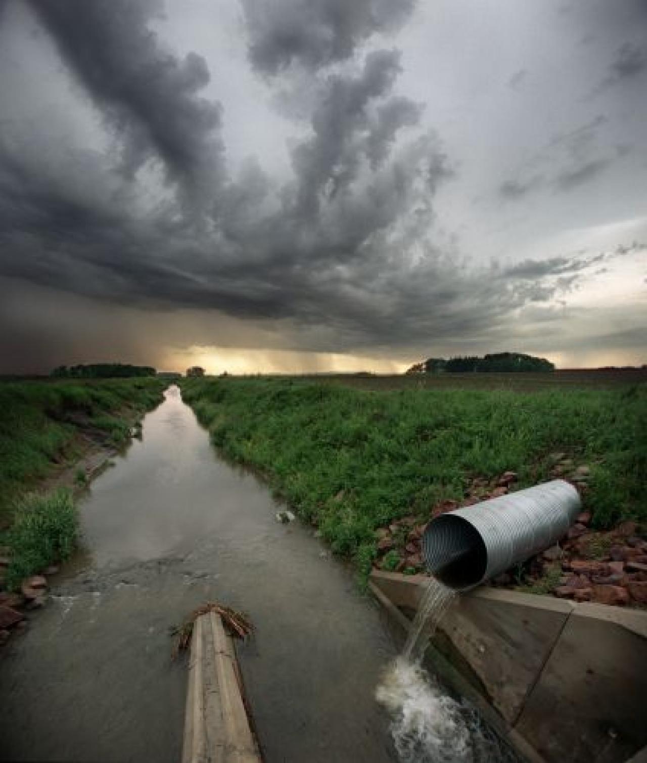 Minnesota Agricultural Water Quality Certification Program Friends of
